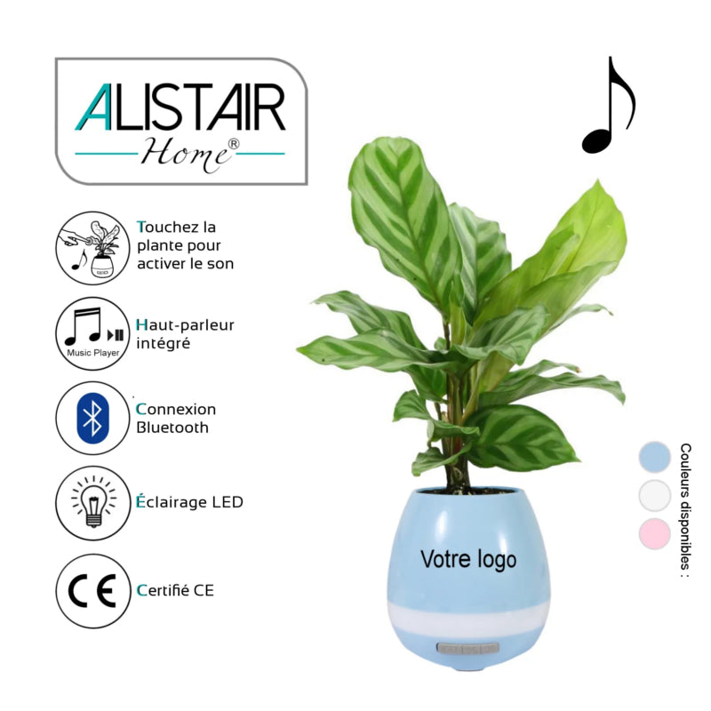 Pot De Fleurs Musicale - Bluetooth - Haut Parleur Intégré - Éclairage Led