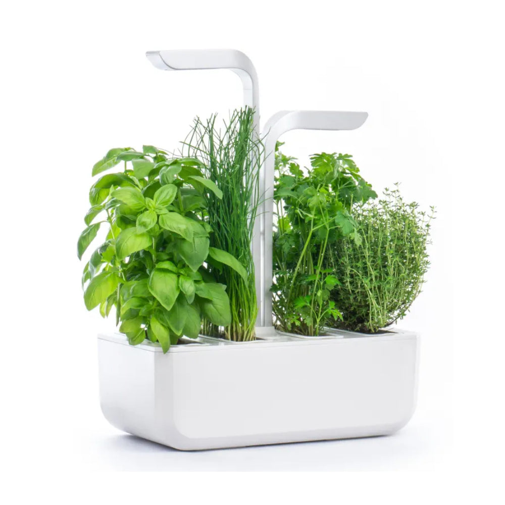 Potager intérieur