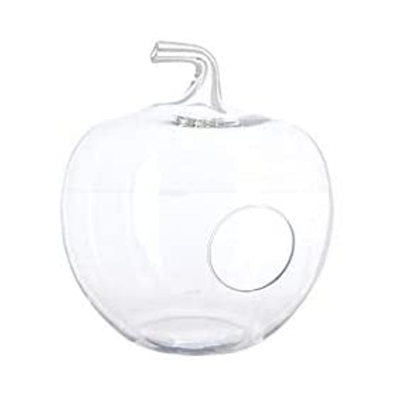 Pomme Terrarium en Verre H35 - Transparent