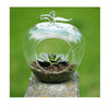 Pomme Terrarium en Verre H35 - Transparent